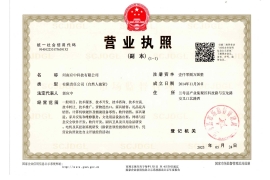 河南应中营业执照